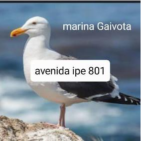 Marina Gaivota